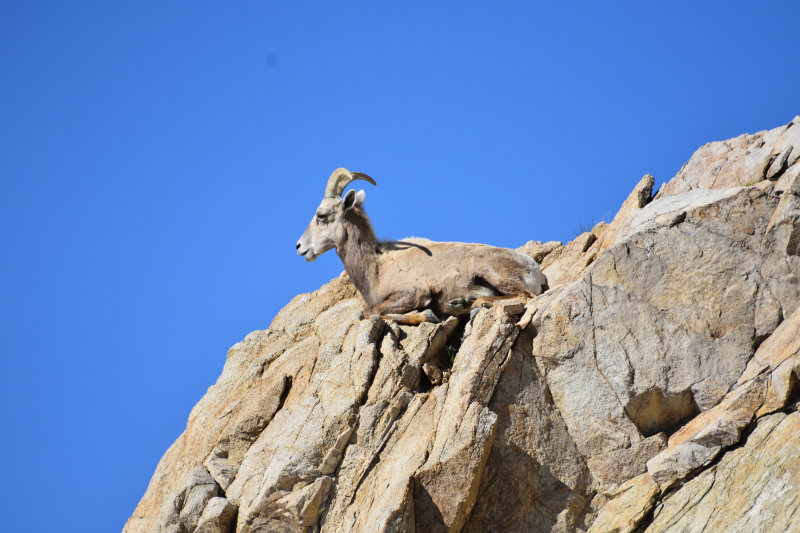 DSC_0230.jpg