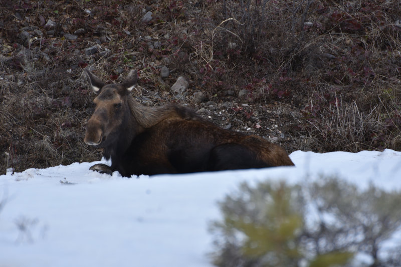 DSC_0395.jpg