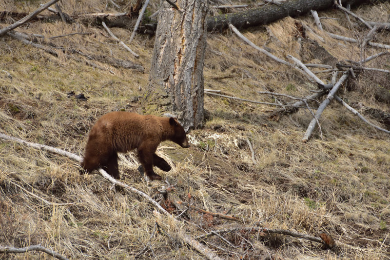 DSC_0508.jpg