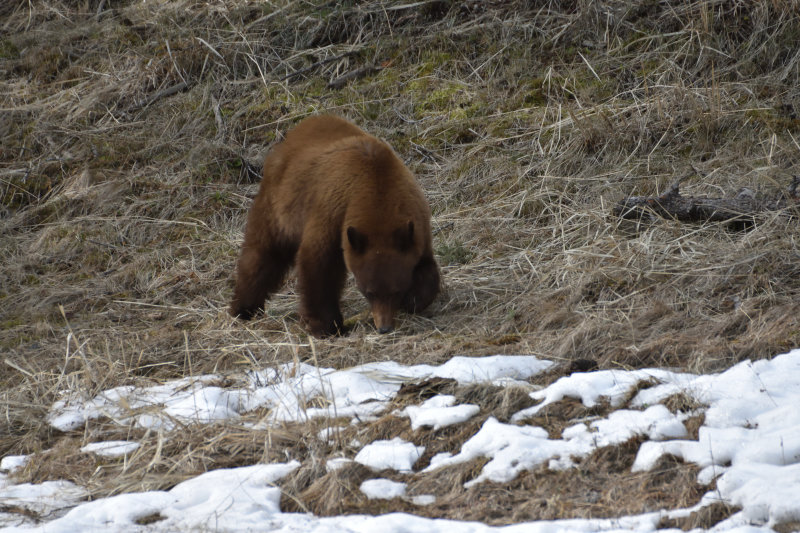 DSC_0601.jpg
