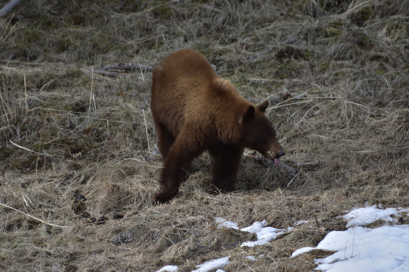 DSC_0610.jpg