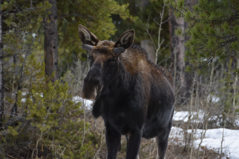 DSC_0754.jpg
