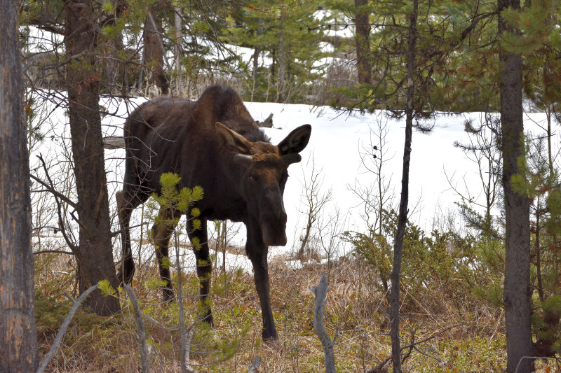 DSC_0772.jpg