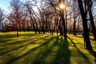 Park at Tarchomin