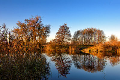 Golden hour light over the Ponds in Łomna
