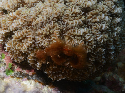 DSC_7975.jpg