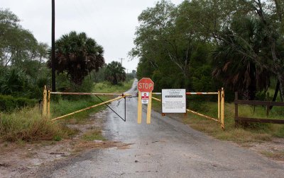 Sabal Palm Sanctuary, Texas