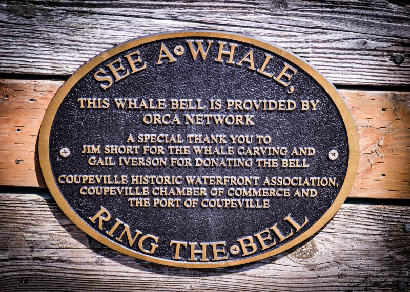 See Whale, Ring Whale Bell
