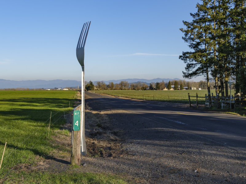 Fork in the Road