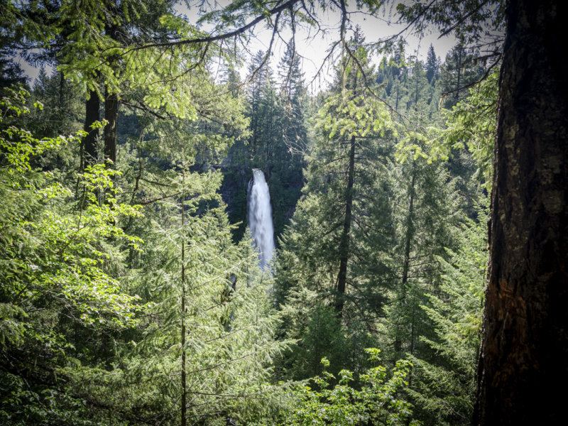 Mill Creek Falls