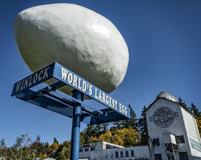 Winlock Egg