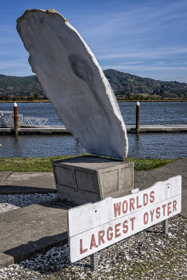 World's Largest Oyster