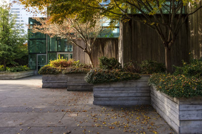 Freeway Park