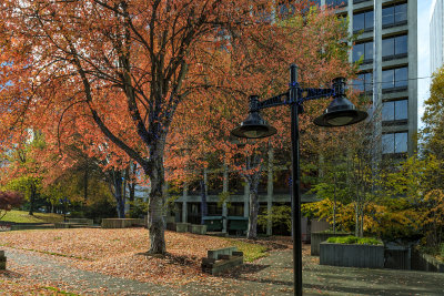 Freeway Park