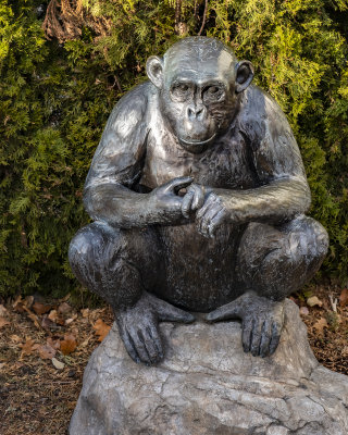 Sign Language Chimp Statue
