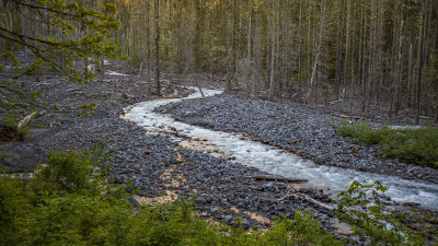 Mount Rainier National Park