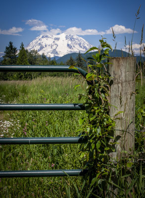 Mount Rainier National Park