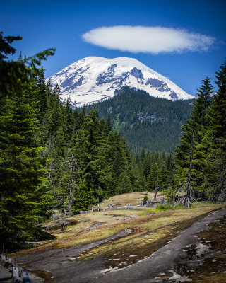 Mount Rainier National Park