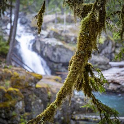 Silver Falls