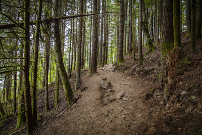 Rattlesnake Ledge Trail