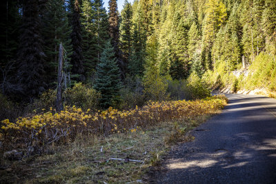 Hells Canyon Scenic Byway