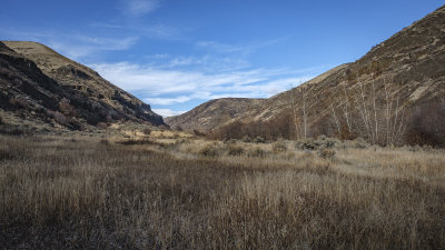 Umtanum Creek Canyon