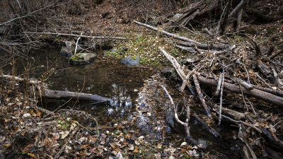Umtanum Creek Falls
