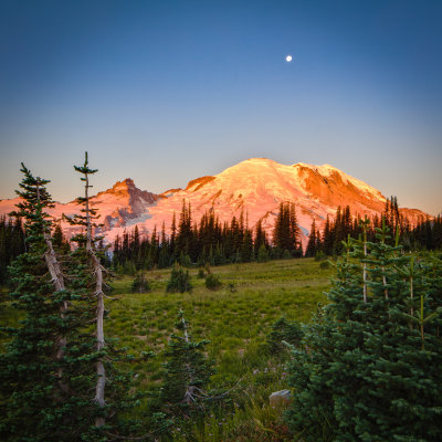 Mount Rainier National Park