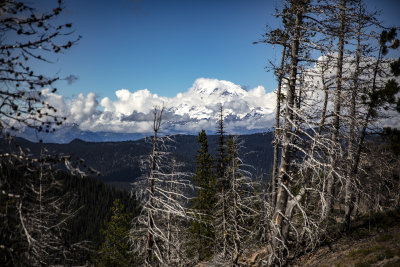 Round Mountain