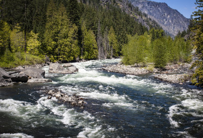 Tumwater Pipeline Trail
