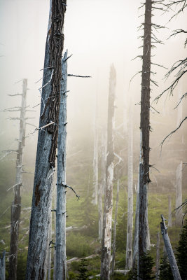 Mount St. Helens