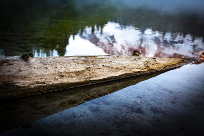 Bench Lake