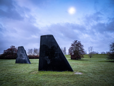 Fin Art - Magnuson Park