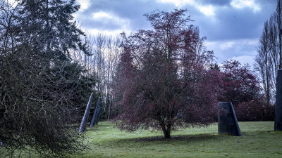 Fin Art - Magnuson Park