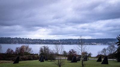 Fin Art - Magnuson Park