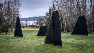 Fin Art - Magnuson Park