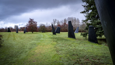 Fin Art - Magnuson Park