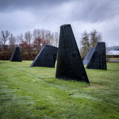 Fin Art - Magnuson Park
