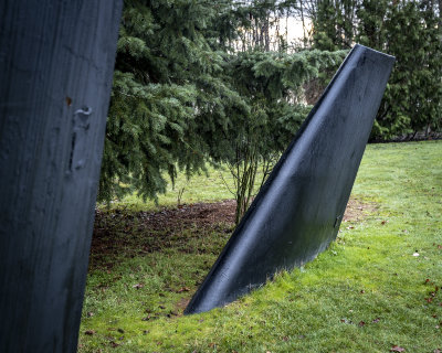 Fin Art - Magnuson Park