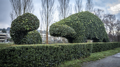 Dinosaur Topiary