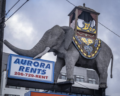 Aurora Elephant