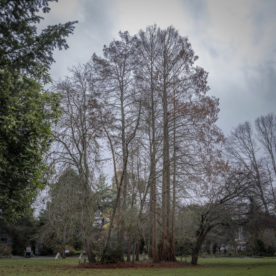 Carl S. English Jr. Botanical Garden