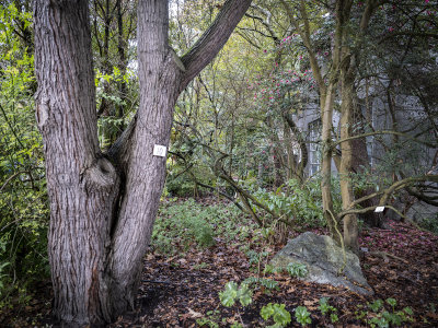 Carl S. English Jr. Botanical Garden