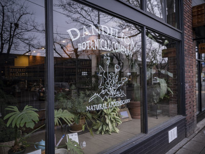 Dandelion Botanical Society