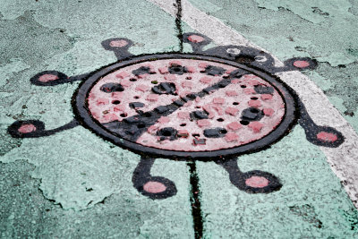 Wallingford Ladybug