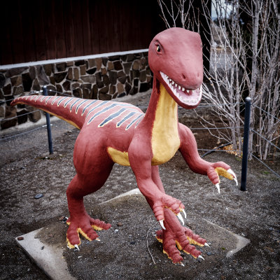 Ginkgo Gem Shop Dinosaurs