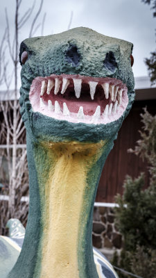 Ginkgo Gem Shop Dinosaurs