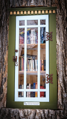 Little Free Library in a 110-Year-Old Tree Stump