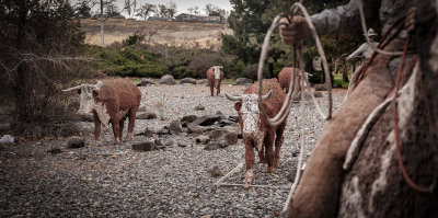 Cattle Drive Sculpture