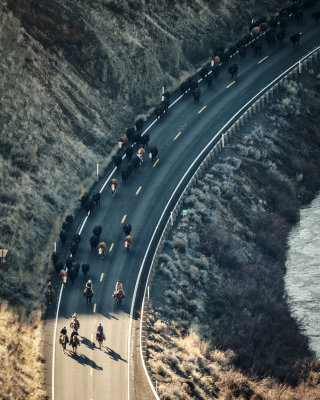 Eaton Cattle Drive